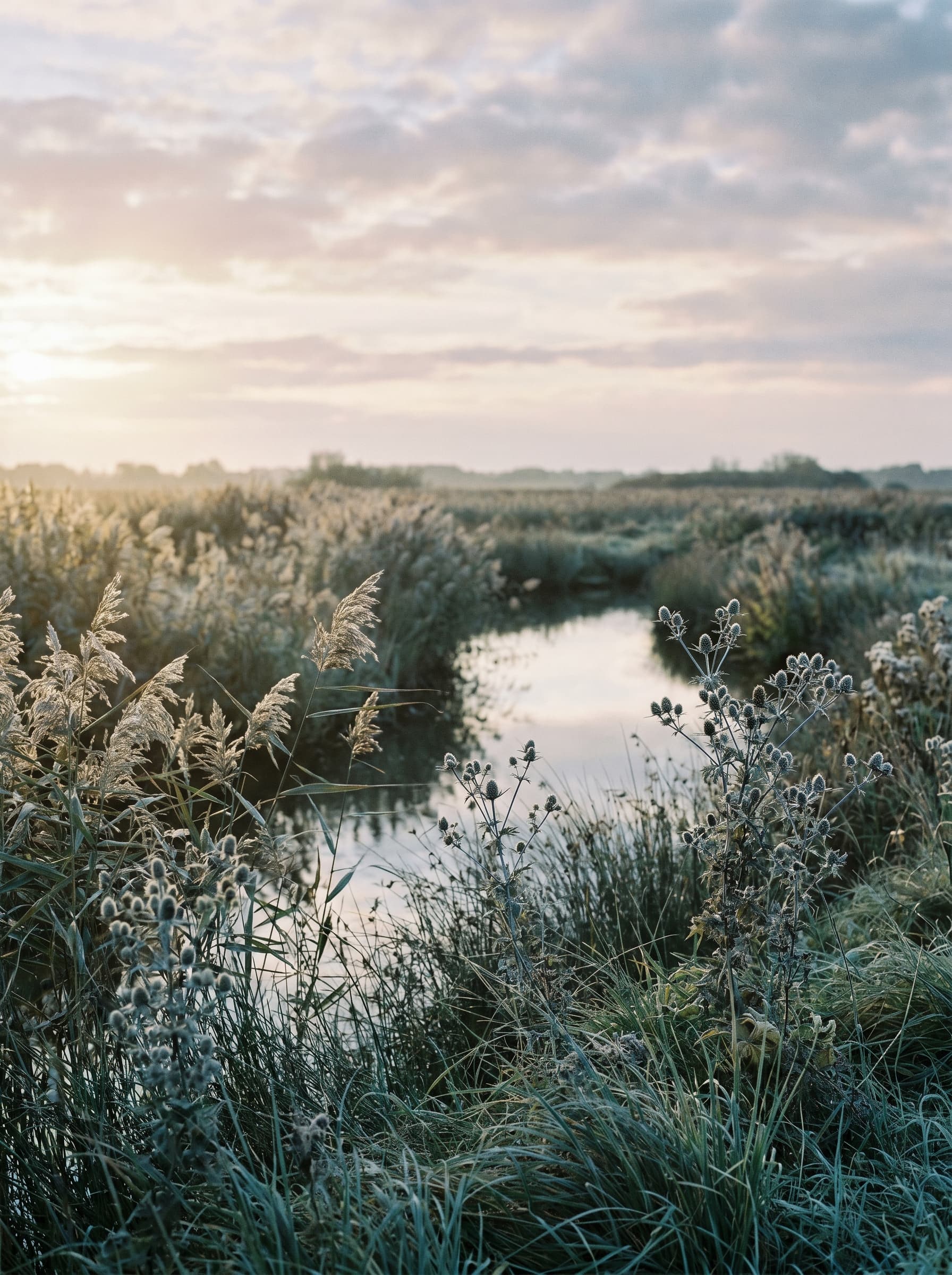 Marsh Lane — Norfolk Broads